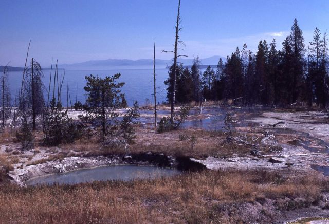 West Thumb Geyser Basin overview Picture