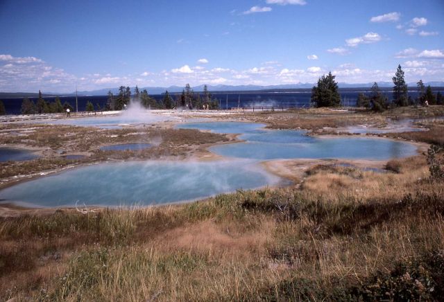West Thumb Geyser Basin Picture