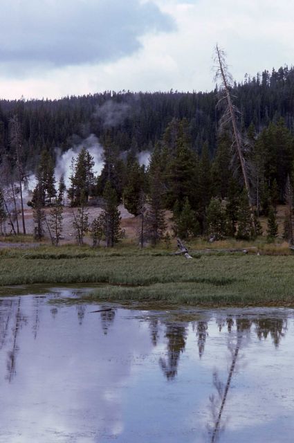 Potts Hot Pots as seen from Lake raod approach - West Thumb Geyser Basin Picture