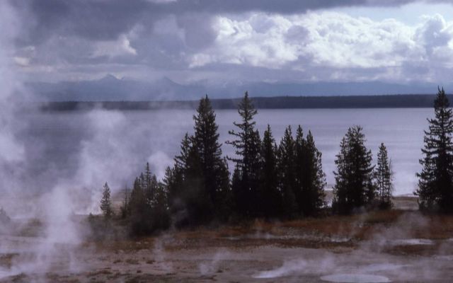 Potts Hot Pots - trees in center of slide - West Thumb Geyser Basin Picture