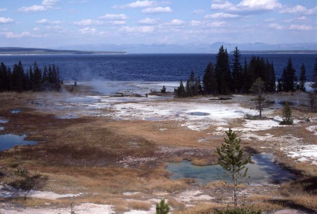 Potts Hot Springs - West Thumb Geyser Basin Picture
