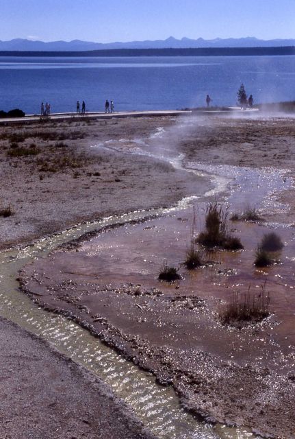 Runoff Channel - West Thumb Geyser Basin Picture