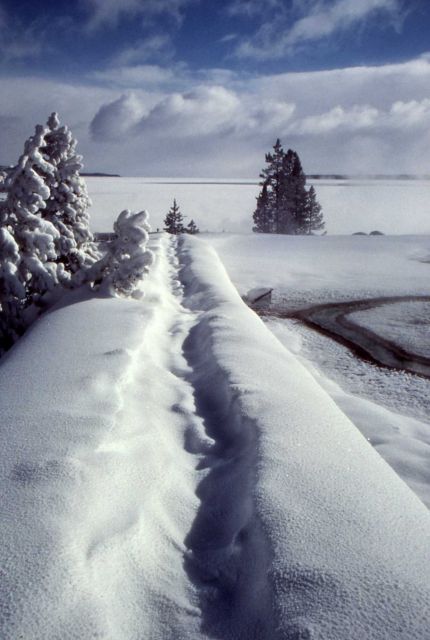 West Thumb Geyser Basin boardwalk covered with snow Picture