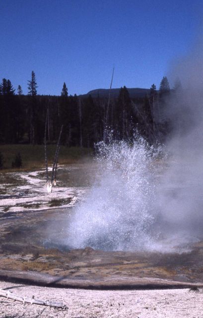 Rustic Geyser - Heart Lake Geyser Basin Picture