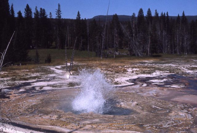 Rustic Geyser - Heart Lake Geyser Basin Picture