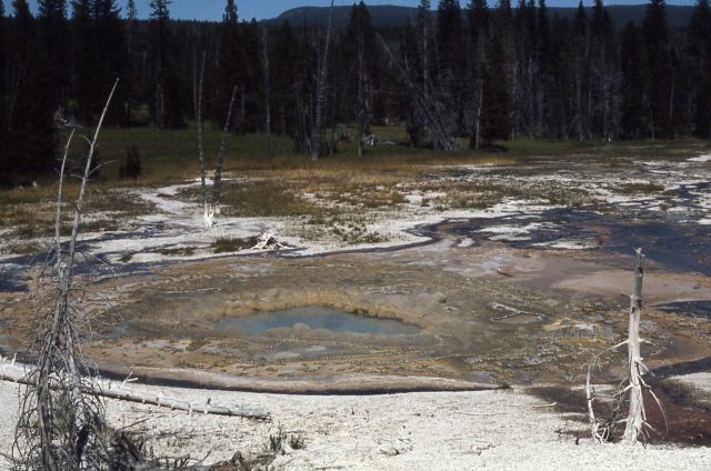 Rustic Geyser - Heart Lake Geyser Basin Picture