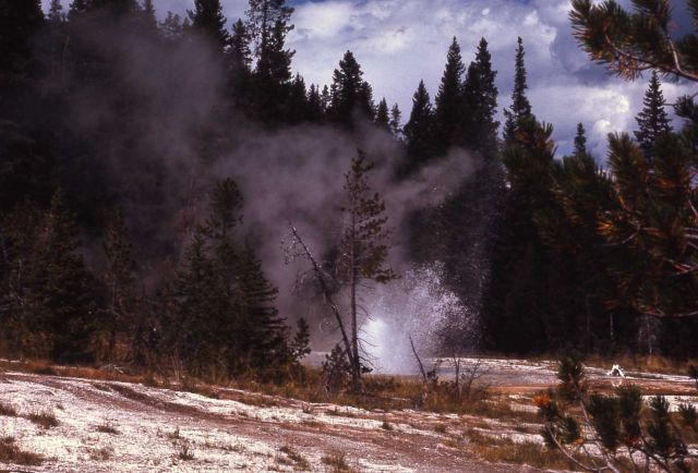 Rustic Geyser - Heart Lake Geyser Basin Picture