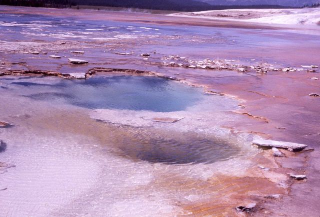 Bellefontane Geyser - Midway & Lower Geyser Basin Picture