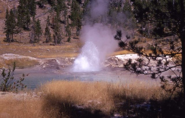 Imperial Geyser - Midway & Lower Geyser Basin Picture