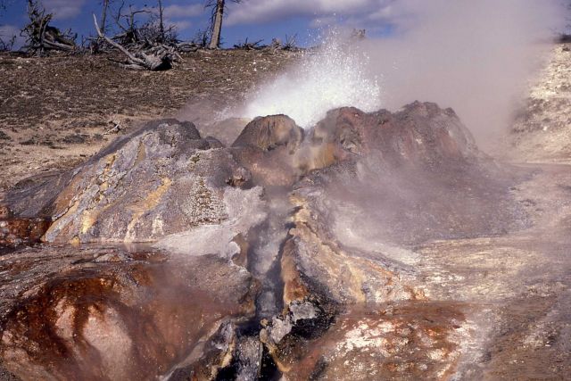 Conch Spring (also known as Fortress Geyser) - Midway & Lower Geyser Basin Picture