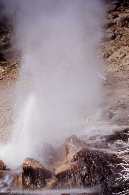 Spray Geyser - Midway & Lower Geyser Basin Picture