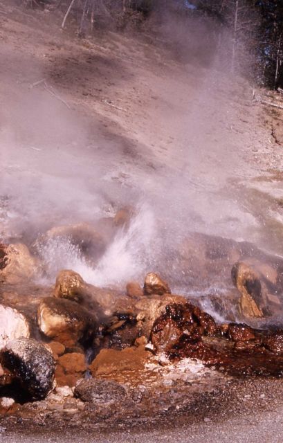 Spray Geyser - Midway & Lower Geyser Basin Picture