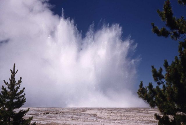 Morning Geyser - Midway & Lower Geyser Basin Picture