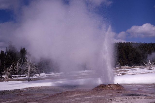 Pink Cone Geyser - Midway & Lower Geyser Basin Picture