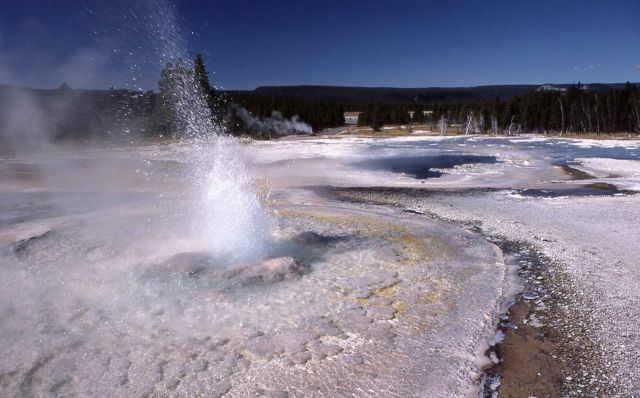 Bead Geyser (Pink Cone erupting in background) - Midway & Lower Geyser Basin Picture