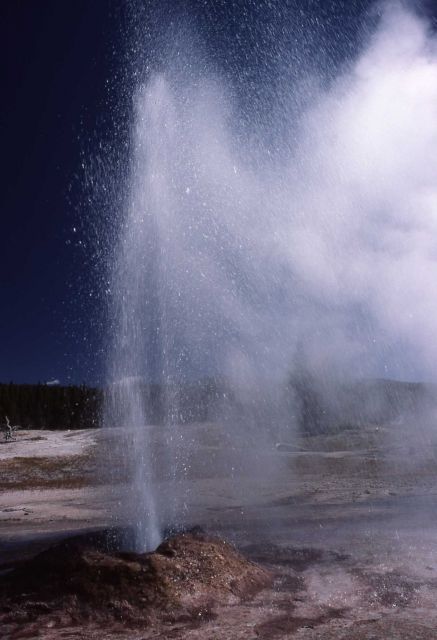 Pink Cone Geyser - Midway & Lower Geyser Basin Picture