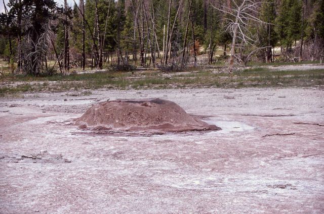 Pink Cone Geyser - Midway & Lower Geyser Basin Picture