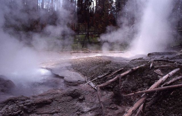 Till Geyser spouting - Midway & Lower Geyser Basin Picture