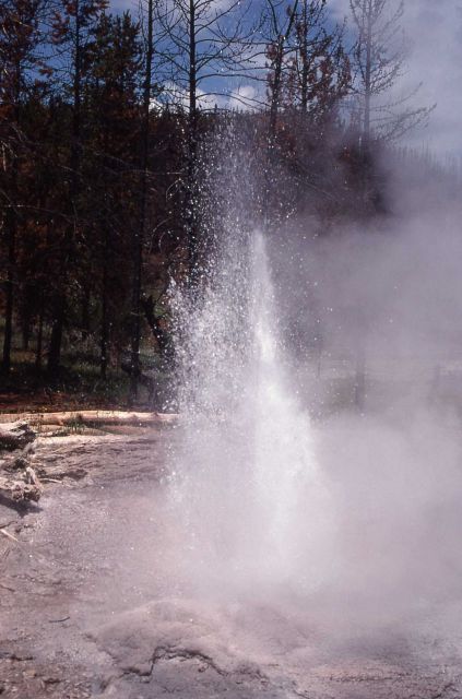 Close up of eruption of Till Geyser - Midway & Lower Geyser Basin Picture