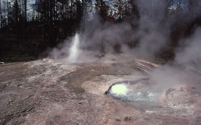Distant view of Till Geyser eruption - Midway & Lower Geyser Basin Picture