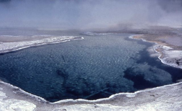 Fountain Geyser with morning steaming - Midway & Lower Geyser Basin Picture