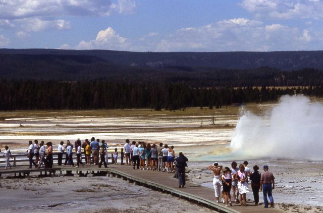 Clepsydra Geyser - Midway & Lower Geyser Basin Picture