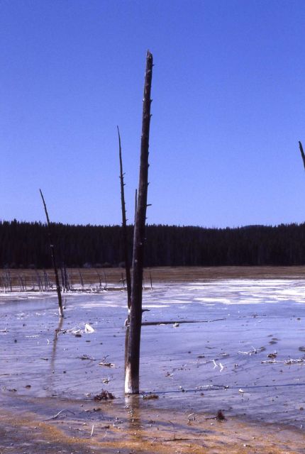 Fountain Paint Pot - Midway & Lower Geyser Basin Picture