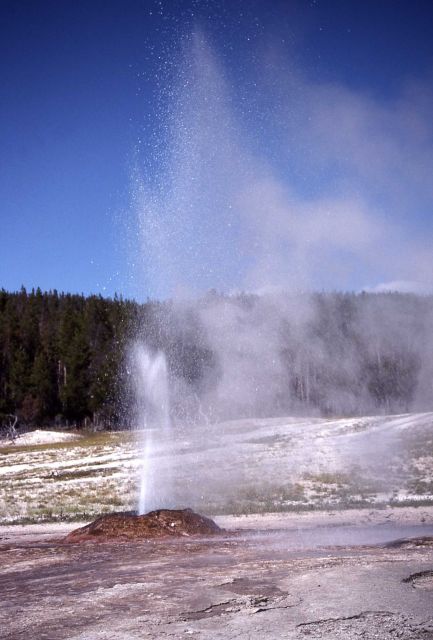 Pink Cone Geyser - Midway & Lower Geyser Basin Picture