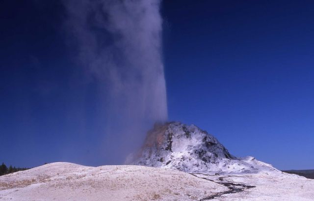 White Dome Geyser erupting, Firehole Lake Drive - Midway & Lower Geyser Basin Picture