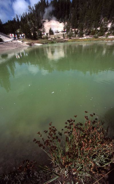 Sulpher Cauldron area - Mud Volcano area Picture