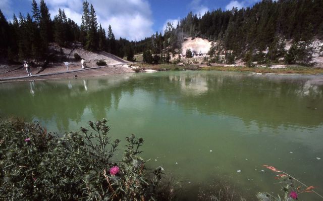 Sulpher Cauldron area - Mud Volcano area Picture
