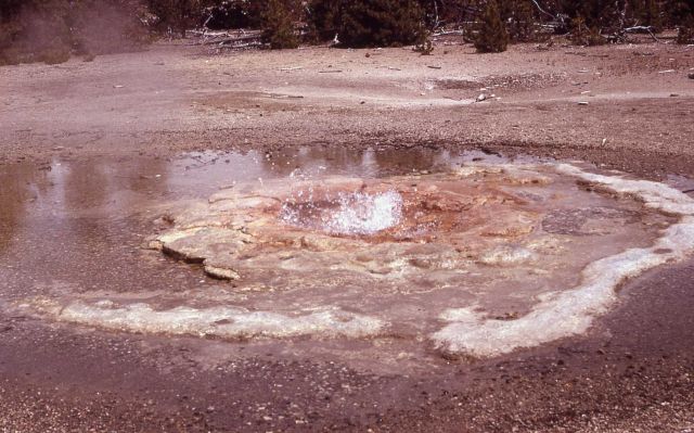 Vixen Geyser - Norris Geyser Basin Picture