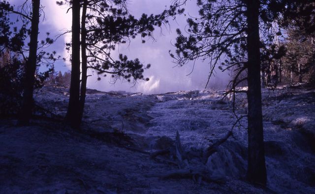 Run off from Steamboat Geyser - Norris Geyser Basin Picture
