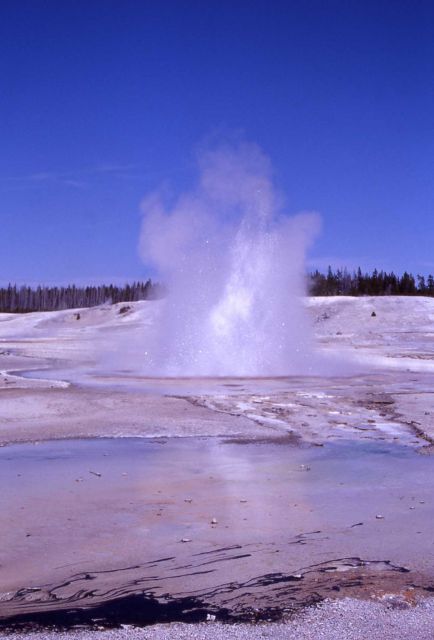 Constant Geyser - Norris Geyser Basin Picture