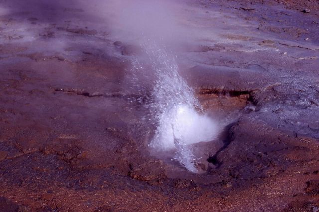 Africa Geyser - Norris Geyser Basin Picture