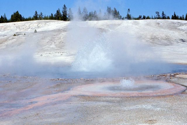 Blue Geyser & Iris Spring - Norris Geyser Basin Picture