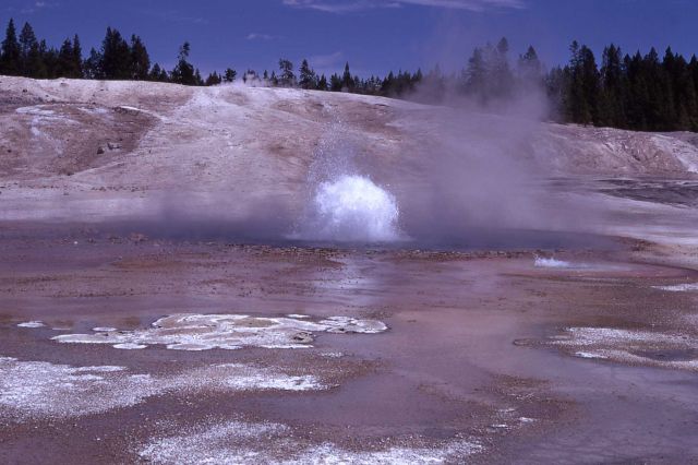 Blue Geyser erupting - Norris Geyser Basin Picture