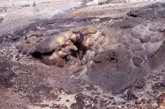 Dark Cavern Geyser vent - Norris Geyser Basin Picture