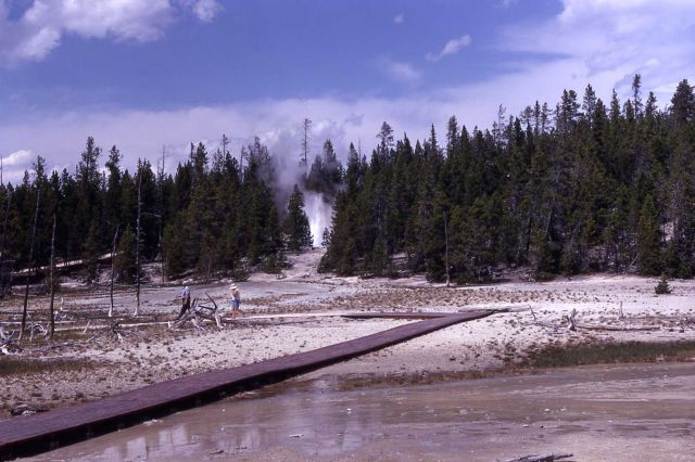 Distant view of Ebony Geyser erupting - Norris Geyser Basin Picture