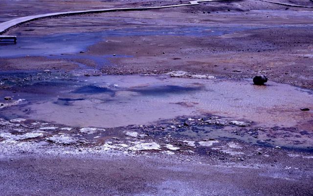 Pinwheel Geyser vent - Norris Geyser Basin Picture