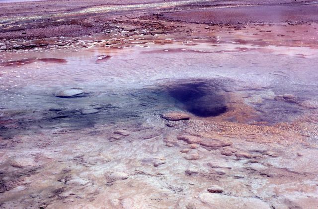 Constant Geyser vent - Norris Geyser Basin Picture