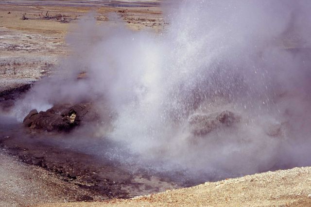 Dark Cavern Geyser erupting - Norris Geyser Basin Picture