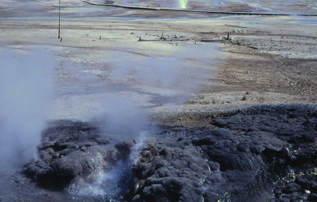 Dark Cavern Geyser erupting - Norris Geyser Basin Picture