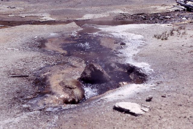 Perpetual Spouter Geyser - Norris Geyser Basin Picture