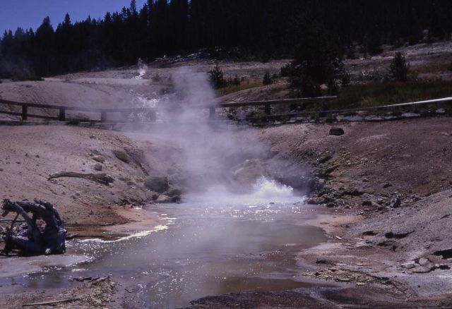 Sunday Geyser - Norris Geyser Basin Picture