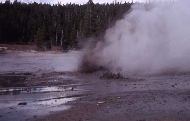 Decker Geyser - Norris Geyser Basin Picture