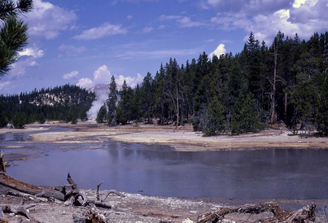 Decker Geyser area - Norris Geyser Basin Picture