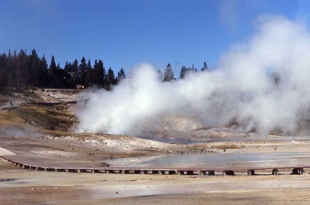 Ledge Geyser erupting - Norris Geyser Basin Picture