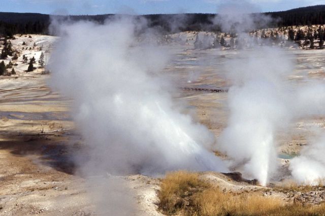 Ledge Geyser erupting - Norris Geyser Basin Picture