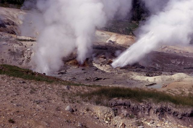 Ledge Geyser erupting - Norris Geyser Basin Picture